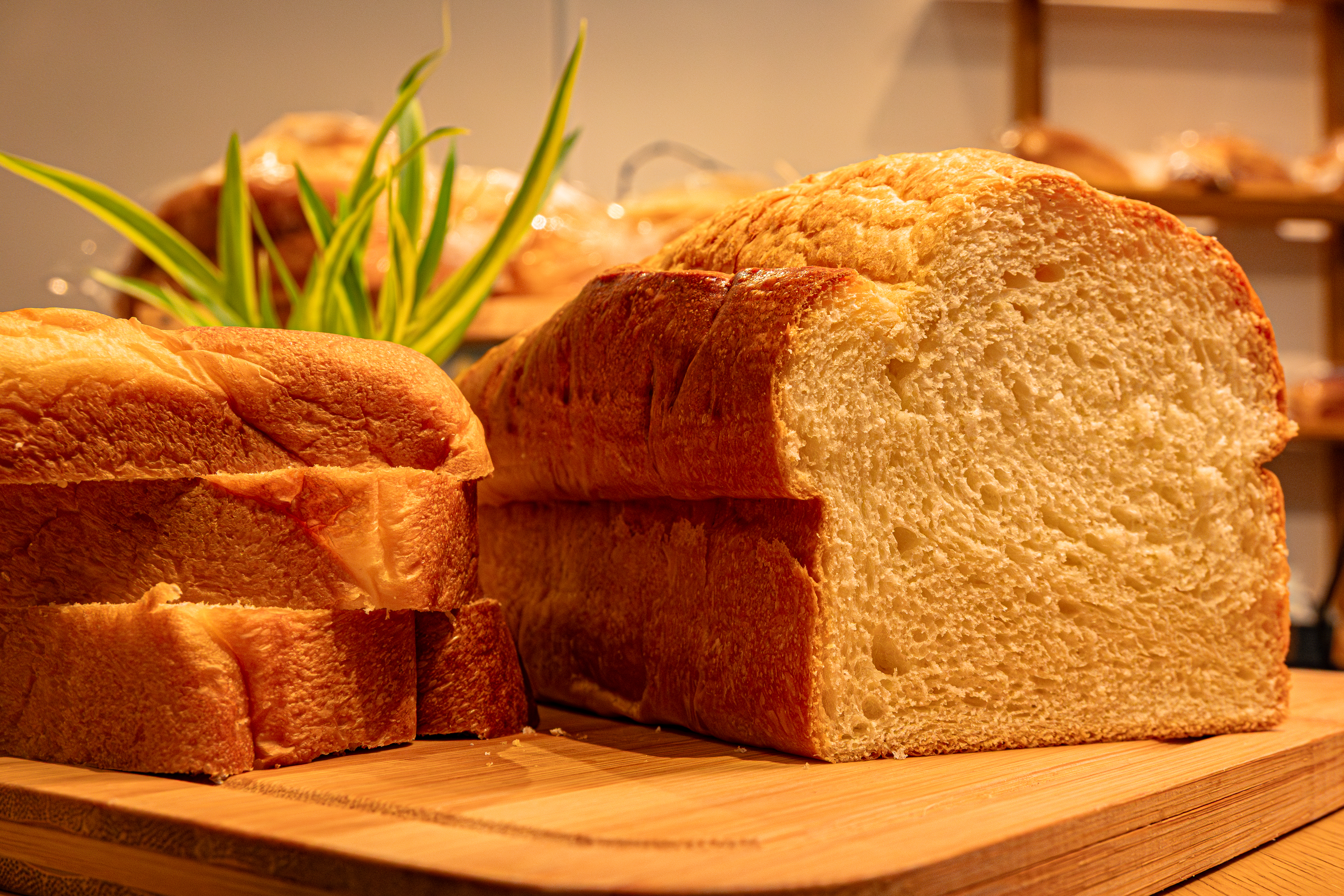 Nosso tão famoso Shokupan